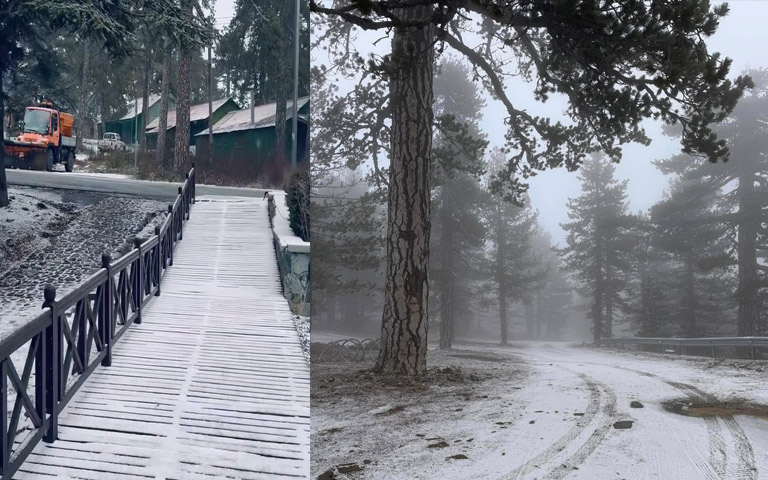 ΑΥΓΗ: Ήρθε και σκοπεύει να παραμείνει για λίγες μέρες-(Βίντεο)