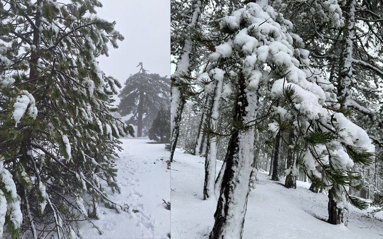 ΤΡΟΟΔΟΣ: H λευκή μαγεία φέρνει τη χαρά…-Οι κάτοικοι των ορεινών αντιμετωπίζουν προβλήματα λόγω της αυξημένης ανάγκης για πετρέλαιο θέρμανσης (Φώτο)