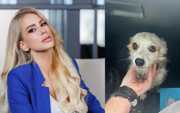 ΧΡΙΣΤΙΝΑ ΔΗΜΗΤΡΙΟΥ: Αναζητείται ο ιδιοκτήτης σκύλου-Η πολύτιμη βοήθεια που έδωσε η παρουσιάστρια-δημοσιογράφος- (Φώτο)