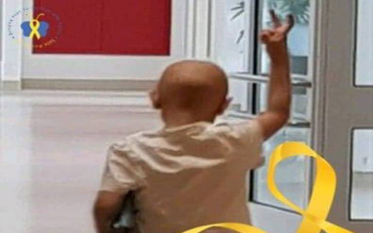 ΑΛΚΙΝΟΟΣ ΑΡΤΕΜΙΟΥ: Πρώτη συγκέντρωση Εθελοντών και Φίλων του Ιδρύματος-Πότε θα πραγματοποιηθεί