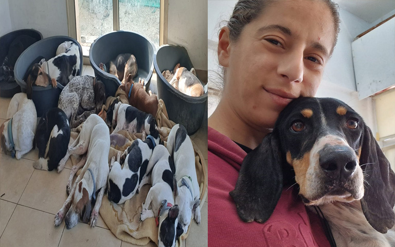 ΚΥΒΕΛΗ ΓΕΩΡΓΙΟΥ: Η γνωστή εθελόντρια που υιοθέτησε την Freedom-Φιλοζωική δράση και αγάπη για τα αδέσποτα ζώα -(Φώτο-Βίντεο)