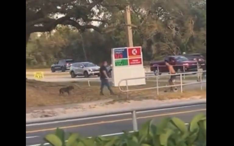 31ΧΡΟΝΟΣ: Συνελήφθη να χτυπά με αλυσίδα τον σκύλο του-Τον ακινητοποίησαν περαστικοί και ένας 13χρονος-(Βίντεο)