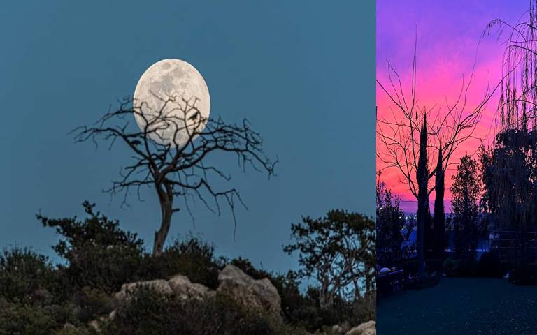 KΥΠΡΟΣ: Όταν η φύση έχει κέφια γίνεται κάτι το μαγικό-Φωτογραφικά στιγμιότυπα από λάτρεις της φωτογραφικής τέχνης