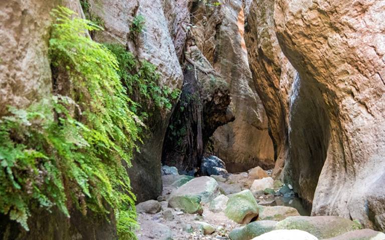 ΦΑΡΑΓΓΙ ΤΗΣ ΣΚΟΤΕΙΝΗΣ: Τεράστια oικολογική καταστροφή και ανθρωπιστική κρίση – Άστεγες 21 οικογένειες- (Φώτο-Βίντεο)