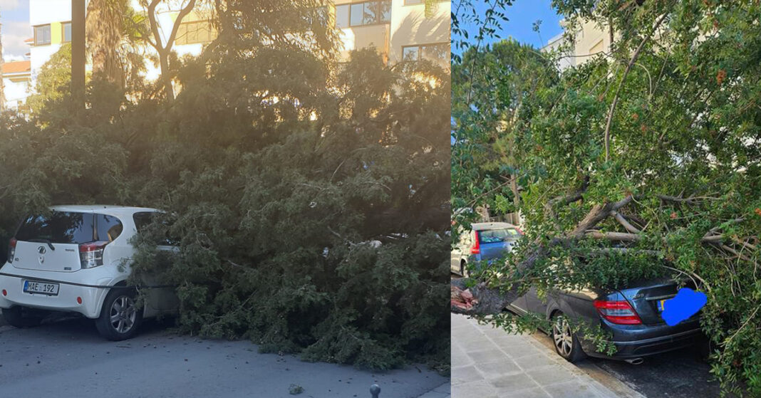 ΚΥΠΡΟΣ: Oι πρώτες ζημιές από τους σφοδρούς ανέμους- Συστήνεται ιδιαίτερη προσοχή