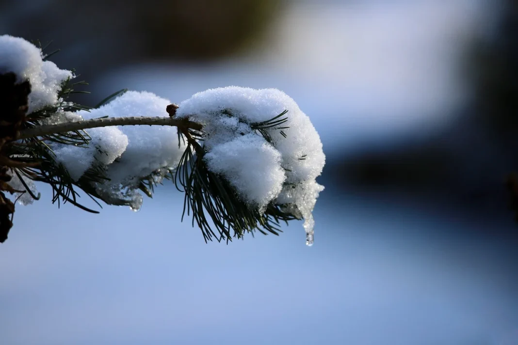 ΤΡΟΟΔΟΣ: Η μαγεία των πρώτων νιφάδων-Πινελιές από το χιονισμένο τοπίο