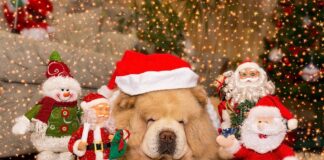 Τα Χριστούγεννα ας είναι μια υπενθύμιση της ουσίας της ζωής. Όχι των δώρων ή των περιτυλιγμάτων…