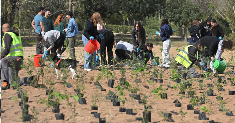 ΔΗΜΟΣ ΛΑΚΑΤΑΜΕΙΑΣ: Το μικρό δάσος Tiny Forest με μεγάλη σημασία για το μέλλον