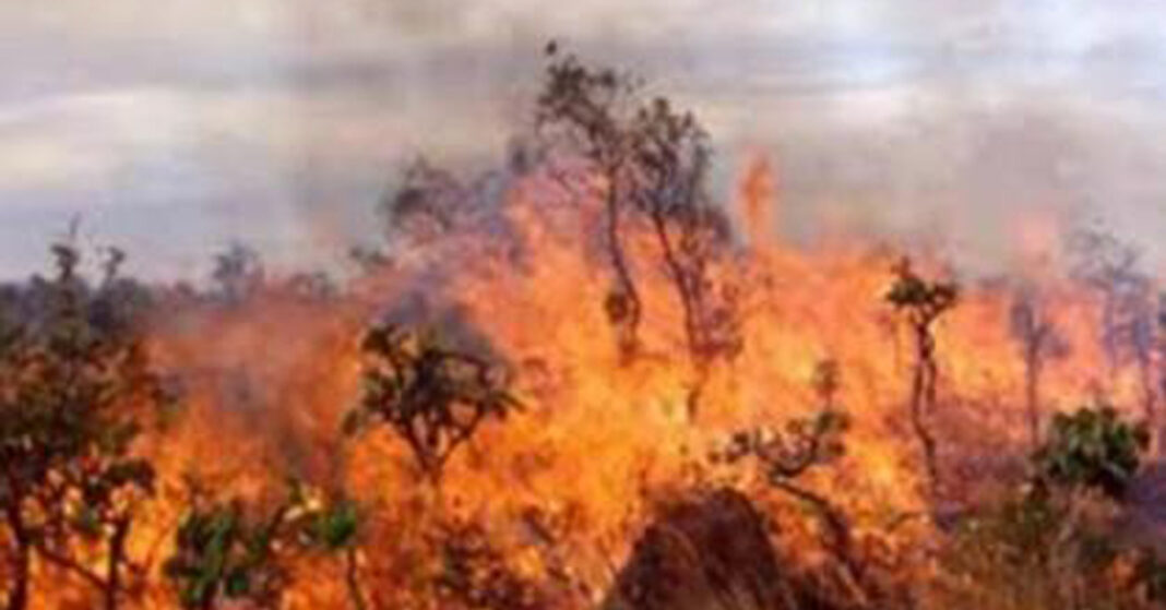 ΟΜΟΝΟΙΑ: Στο πλευρό των πυρόπληκτων-Συλλογή τροφίμων στον αυριανό αγώνα