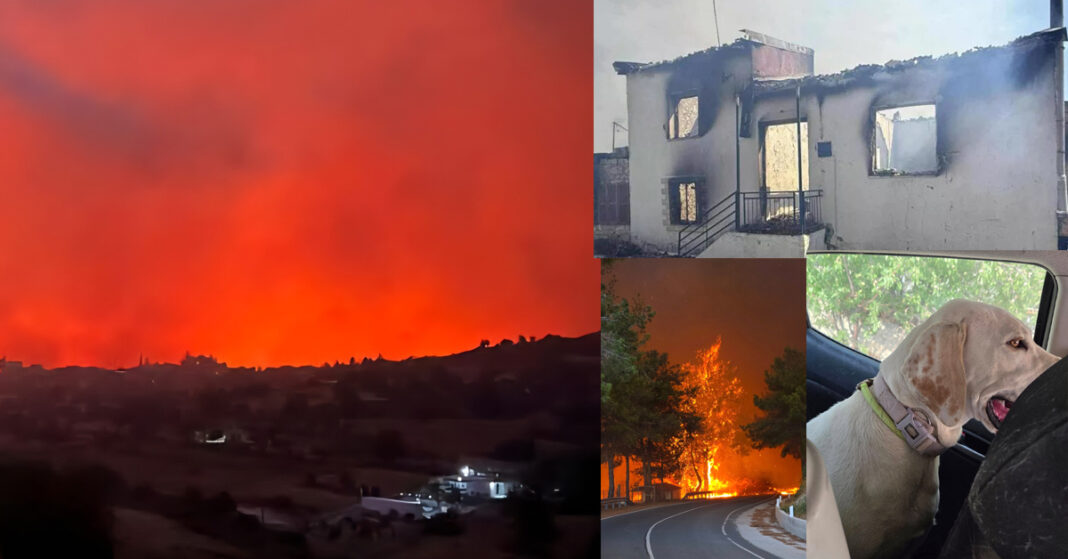 ΚΡΑΝΙΟΥ ΤΟΠΟΣ: Μάχη για να σωθούν ζωές, ζώα και σπίτια – Πράξεις ανθρωπιάς που συγκινούν -Καταγγελίες για πρόστιμα από αστυνομικά βαν-(Βίντεο)