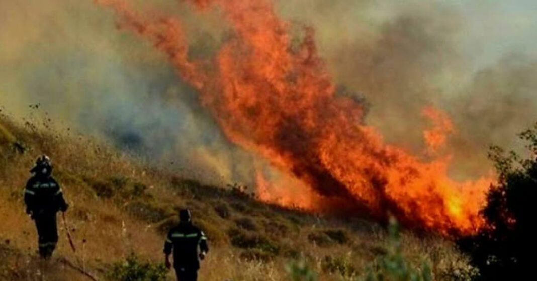 ΙΔΡΥΜΑ ΑΛΚΙΝΟΟΣ ΑΡΤΕΜΙΟΥ: Στη μάχη με τις φλόγες-Δίνει οχήματα για τους εθελοντές