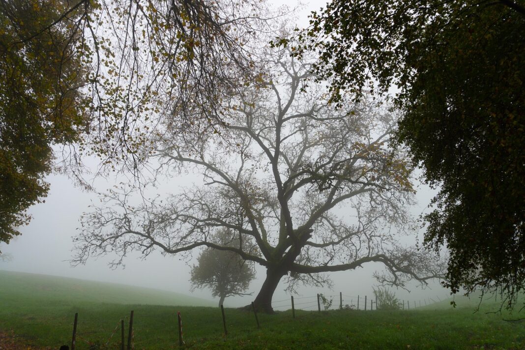 ΚΥΠΡΟΣ: Ήπιες θερμοκρασίες και φθινοπωρινή δροσιά τα βράδια