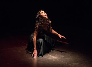 ΑΠΟΦΑΣΗ ΣΤΑΘΜΟΣ: Το ΣτΕ αναγνωρίζει την αδικία εις βάρος των καλλιτεχνών-καλεί την Πολιτεία να προχωρήσει άμεσα σε νέα ρύθμιση που θα αποκαθιστά την αδικία.