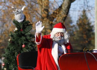 Ο ΑΪ ΒΑΣΙΛΗΣ ΚΑΙ ΤΑ ΣΚΑΝΤΑΛΙΑΡΙΚΑ ΞΩΤΙΚΑ: Χριστουγεννιάτικη κωμωδία για παιδιά στο Αμφιθέατρο ΠΑΣΥΔΥ