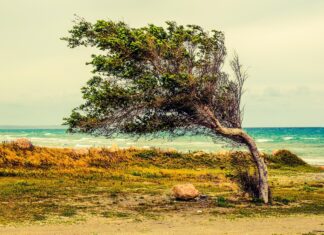 ΚΥΠΡΟΣ: Νεφώσεις, σκόνη, ζέστη και ισχυροί άνεμοι συνθέτουν το σκηνικό του σημερινού καιρού