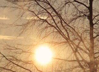 ΚΥΠΡΟΣ: Από το χθεσινό ψύχος, οι θερμοκρασίες επιστρέφουν σε πιο ήπια επίπεδα