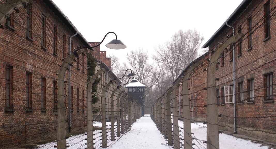 &Nu;&Alpha;&Zeta;&Iota;&Sigma;&Tau;&Iota;&Kappa;&Omicron;&Sigma; &Chi;&Alpha;&Iota;&Rho;&Epsilon;&Tau;&Iota;&Sigma;&Mu;&Omicron;&Sigma;: &Tau;&iota;&mu;&omega;&rho;&epsilon;ί&tau;&alpha;&iota; &sigma;&tau;&eta; &Gamma;&epsilon;&rho;&mu;&alpha;&nu;ί&alpha;, &alpha;&gamma;&nu;&omicron;&epsilon;ί&tau;&alpha;&iota; &sigma;&tau;&eta;&nu; &Kappa;ύ&pi;&rho;&omicron; &ndash; Έ&lambda;&lambda;&epsilon;&iota;&psi;&eta; &iota;&sigma;&tau;&omicron;&rho;&iota;&kappa;ή&sigmaf; &pi;&alpha;&iota;&delta;&epsilon;ί&alpha;&sigmaf;