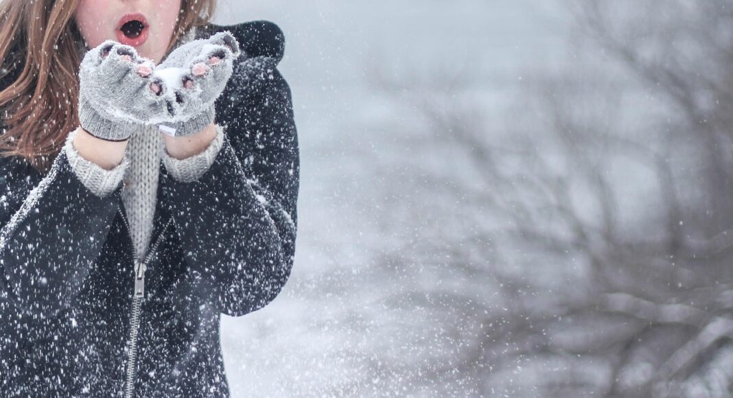 &Tau;&Rho;&Omicron;&Omicron;&Delta;&Omicron;&Sigma;: &Nu;&iota;&phi;ά&delta;&epsilon;&sigmaf; &chi;&iota;&omicron;&nu;&iota;&omicron;ύ &tau;&eta;&nu; &pi;&alpha;&rho;&alpha;&mu;&omicron;&nu;ή &tau;&eta;&sigmaf; &Pi;&rho;&omega;&tau;&omicron;&chi;&rho;&omicron;&nu;&iota;ά&sigmaf; -(&Beta;ί&nu;&tau;&epsilon;&omicron;)