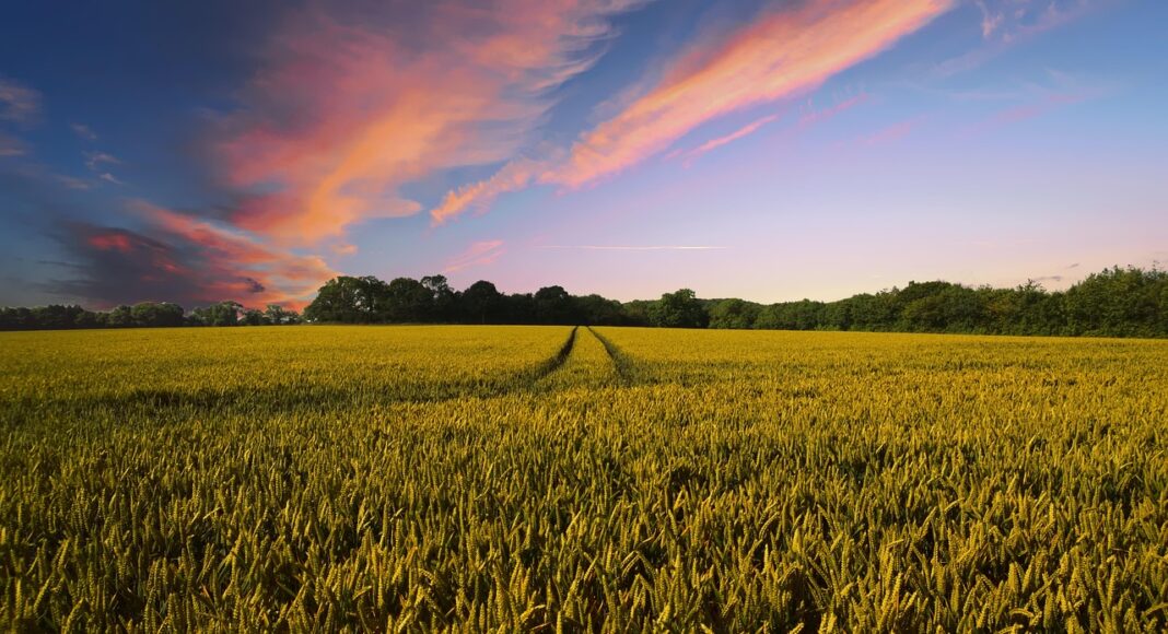 &Kappa;&Upsilon;&Pi;&Rho;&Omicron;&Sigma;: &Omicron; &chi;&epsilon;&iota;&mu;ώ&nu;&alpha;&sigmaf; &chi;&alpha;&lambda;&alpha;&rho;ώ&nu;&epsilon;&iota;-Ά&nu;&omicron;&delta;&omicron;&sigmaf; &tau;&eta;&sigmaf; &theta;&epsilon;&rho;&mu;&omicron;&kappa;&rho;&alpha;&sigma;ί&alpha;&sigmaf; &kappa;&alpha;&iota; &eta;&lambda;&iota;&omicron;&phi;ά&nu;&epsilon;&iota;&alpha;