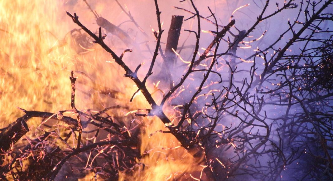 ΠΥΡΚΑΓΙΕΣ ΙΟΥΛΙΟΥ: Η ΕΕ δίνει €2,3 εκατ. προκαταβολή στην Κύπρο