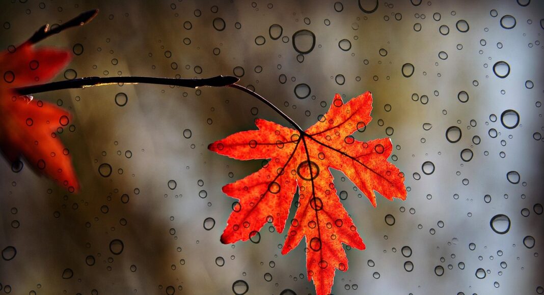 ΚΑΙΡΟΣ: Μετά την «Adel» έρχονται επιτέλους οι βροχές – Πότε θα ξεκινήσουν να γεμίζουν τα φράγματα