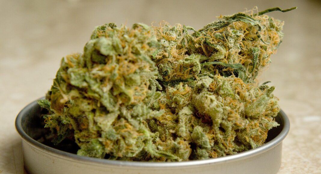 23ΧΡΟΝΟΣ: Σε δέκα χρόνια θα βγει από τη φυλακή ο νεαρός που εισήγαγε και καλλιεργούσε ναρκωτικά