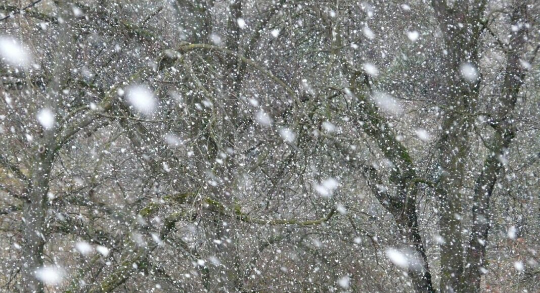 &Nu;&Iota;&Phi;&Alpha;&Delta;&Epsilon;&Sigma; &Chi;&Iota;&Omicron;&Nu;&Iota;&Omicron;&Upsilon;: &Tau;&sigma;&alpha;&gamma;ά&kappa;&iota;, &tau;&zeta;ά&kappa;&iota; &kappa;&alpha;&iota; &kappa;&alpha;&nu;&omicron;&nu;&iota;&kappa;ή &chi;&epsilon;&iota;&mu;&omega;&nu;&iota;ά&tau;&iota;&kappa;&eta; &alpha;&tau;&mu;ό&sigma;&phi;&alpha;&iota;&rho;&alpha;