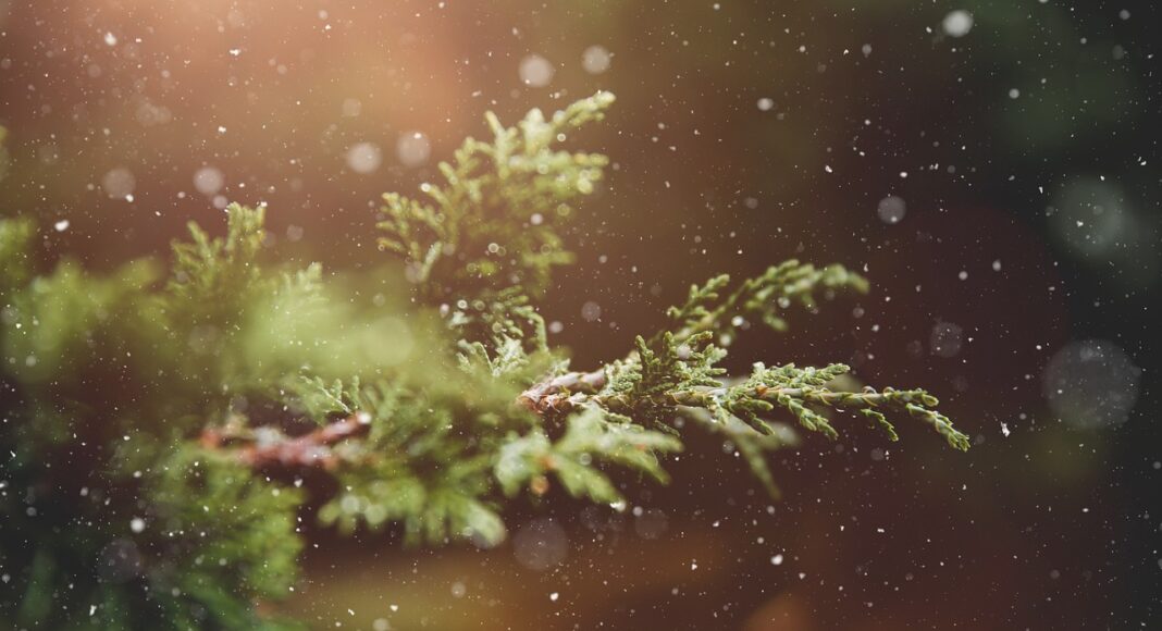 ΤΡΟΟΔΟΣ: Οι πρώτες νιφάδες χιονιού κάνουν την εμφάνισή τους-(Βίντεο)