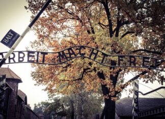 ΔΙΕΘΝΗΣ ΗΜΕΡΑ ΜΝΗΜΗΣ: Μια 16χρονη μας θυμίζει τη φρίκη για τα Θύματα του Ολοκαυτώματος