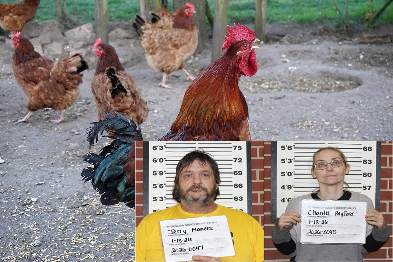 &Phi;&Rho;&Iota;&Kappa;&Eta; &Sigma;&Tau;&Omicron; &Mu;&Iota;&Sigma;&Omicron;&Upsilon;&Rho;&Iota;: &Zeta;&epsilon;&upsilon;&gamma;ά&rho;&iota; &kappa;&alpha;&tau;&eta;&gamma;&omicron;&rho;&epsilon;ί&tau;&alpha;&iota; &gamma;&iota;&alpha; &kappa;&alpha;&kappa;&omicron;&pi;&omicron;ί&eta;&sigma;&eta; &epsilon;&phi;ή&beta;&omega;&nu; &epsilon;&pi;ί &delta;ύ&omicron; &chi;&rho;ό&nu;&iota;&alpha;-&Tau;&alpha; &kappa;&lambda;&epsilon;ί&delta;&omega;&nu;&epsilon; &sigma;&tau;&omicron; &kappa;&omicron;&tau;έ&tau;&sigma;&iota;