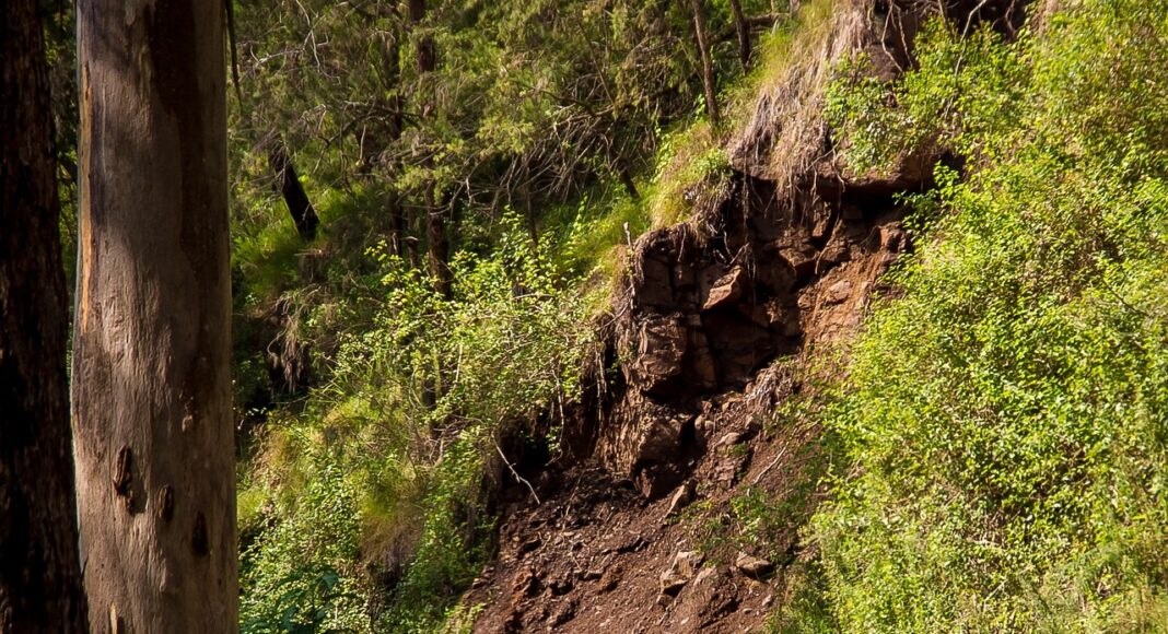 &Epsilon;&Nu;&Tau;&Omicron;&Nu;&Epsilon;&Sigma; &Beta;&Rho;&Omicron;&Chi;&Omicron;&Pi;&Tau;&Omega;&Sigma;&Epsilon;&Iota;&Sigma;: &Kappa;&alpha;&tau;&omicron;&lambda;&iota;&sigma;&theta;ή&sigma;&epsilon;&iota;&sigmaf;, &kappa;&rho;ύ&omicron; &kappa;&alpha;&iota; &sigma;&kappa;ό&nu;&eta; &laquo;&pi;&nu;ί&gamma;&omicron;&upsilon;&nu;&raquo; &tau;&eta;&nu; &Kappa;ύ&pi;&rho;&omicron;
