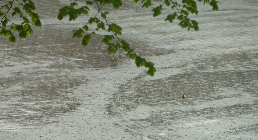 &Lambda;&Alpha;&Kappa;&Alpha;&Tau;&Alpha;&Mu;&Epsilon;&Iota;&Alpha;-&Kappa;&Omicron;&Kappa;&Kappa;&Iota;&Nu;&Omicron;&Tau;&Rho;&Iota;&Mu;&Iota;&Theta;&Iota;&Alpha;: &Kappa;&alpha;&tau;&alpha;&rho;&rho;&alpha;&kappa;&tau;ώ&delta;&epsilon;&iota;&sigmaf; &beta;&rho;&omicron;&chi;έ&sigmaf; &ndash; &Pi;&rho;&omicron;&sigma;&omicron;&chi;ή &sigma;&tau;&omicron;&upsilon;&sigmaf; &delta;&rho;ό&mu;&omicron;&upsilon;&sigmaf;