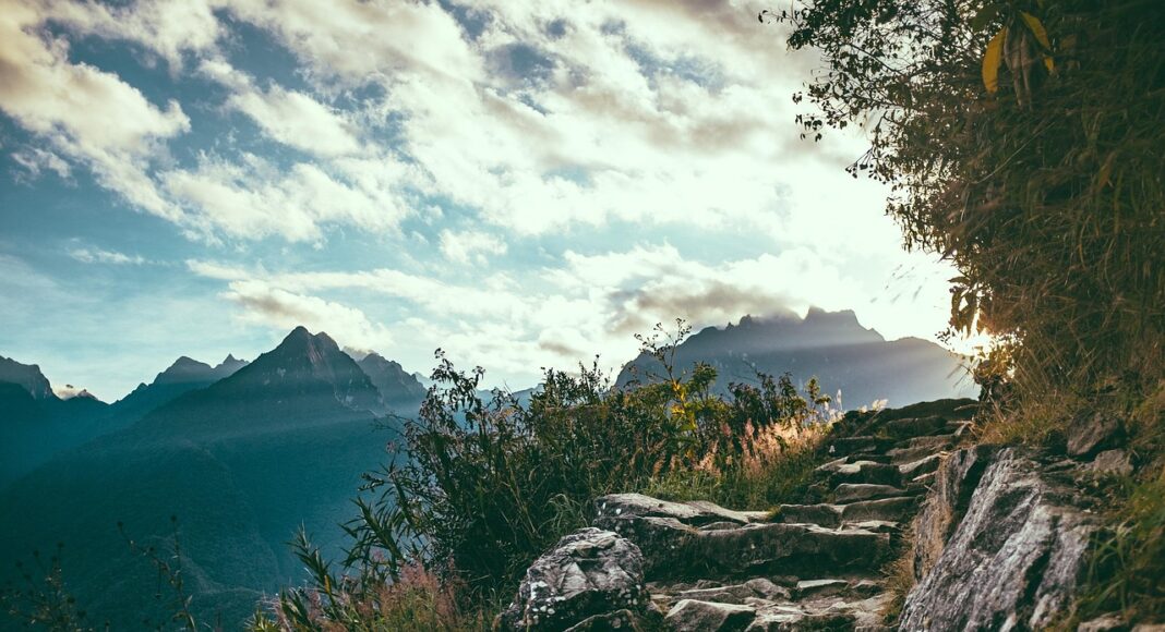 &Pi;&Alpha;&Phi;&Omicron;&Sigma;: &Epsilon;&kappa;&pi;&alpha;ί&delta;&epsilon;&upsilon;&sigma;&eta; &sigma;&kappa;ύ&lambda;&omega;&nu; &mu;&epsilon; &tau;&rho;&alpha;&gamma;&iota;&kappa;ή &kappa;&alpha;&tau;ά&lambda;&eta;&xi;&eta; &ndash; 31&chi;&rho;&omicron;&nu;&omicron;&sigmaf; &chi;ά&nu;&epsilon;&iota; &tau;&eta; &zeta;&omega;ή &tau;&omicron;&upsilon; &sigma;&epsilon; &tau;&rho;&omicron;&chi;&alpha;ί&omicron;