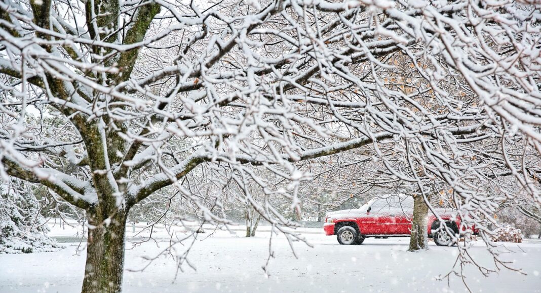 &Kappa;&Upsilon;&Pi;&Rho;&Omicron;&Sigma; &Pi;&Alpha;&Gamma;&Omega;&Nu;&Epsilon;&Iota; &Xi;&Alpha;&Nu;&Alpha;: K&rho;ύ&omicron; &tau;&eta; &nu;ύ&chi;&tau;&alpha;, ή&lambda;&iota;&omicron;&sigmaf; &tau;&eta; &mu;έ&rho;&alpha; &ndash; Έ&rho;&chi;&epsilon;&tau;&alpha;&iota; &nu;έ&omicron; &kappa;ύ&mu;&alpha; &psi;ύ&chi;&omicron;&upsilon;&sigmaf; &kappa;&alpha;&iota; &chi;&iota;&omicron;&nu;&iota;ά