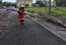 AΝΕΜΟΙ ΠΟΥ ΔΕΝ ΑΦΗΝΟΥΝ ΤΙΠΟΤΕ ΟΡΘΙΟ: 17 περιστατικά παγκύπρια-Τι δηλώνει ο Ανδρέας Κεττή-(Φώτο)
