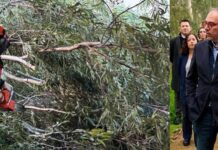 ΧAΡΑΛΑΜΠΟΣ ΠΡΟΥΝΤΖΟΣ: Βίντεο από τις πληγείσες περιοχές της Λευκωσίας λόγω πτώσης δέντρων-(Βίντεο)