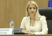 ΑΝΝΙΤΑ ΔΗΜΗΤΡΙΟΥ: «Αν δεν ληφθούν άμεσες αποφάσεις, η Κύπρος εκτίθεται»