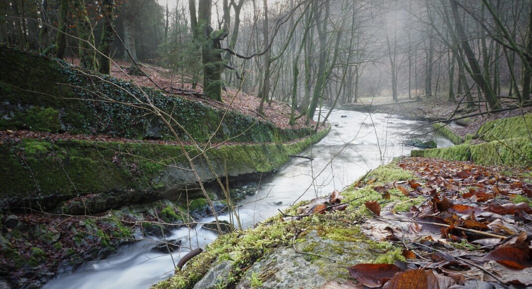 &Beta;&Rho;&Omicron;&Chi;&Omicron;&Pi;&Tau;&Omega;&Sigma;&Epsilon;&Iota;&Sigma;: &Gamma;&epsilon;&mu;ί&zeta;&omicron;&upsilon;&nu; &tau;&alpha; &phi;&rho;ά&gamma;&mu;&alpha;&tau;&alpha; &kappa;&alpha;&iota; &phi;έ&rho;&nu;&omicron;&upsilon;&nu; &chi;&alpha;&mu;ό&gamma;&epsilon;&lambda;&alpha; &sigma;&tau;&omicron;&upsilon;&sigmaf; &kappa;&alpha;&tau;&omicron;ί&kappa;&omicron;&upsilon;&sigmaf;-(&Phi;&omega;&tau;&omicron;-&Beta;ί&nu;&tau;&epsilon;&omicron;)