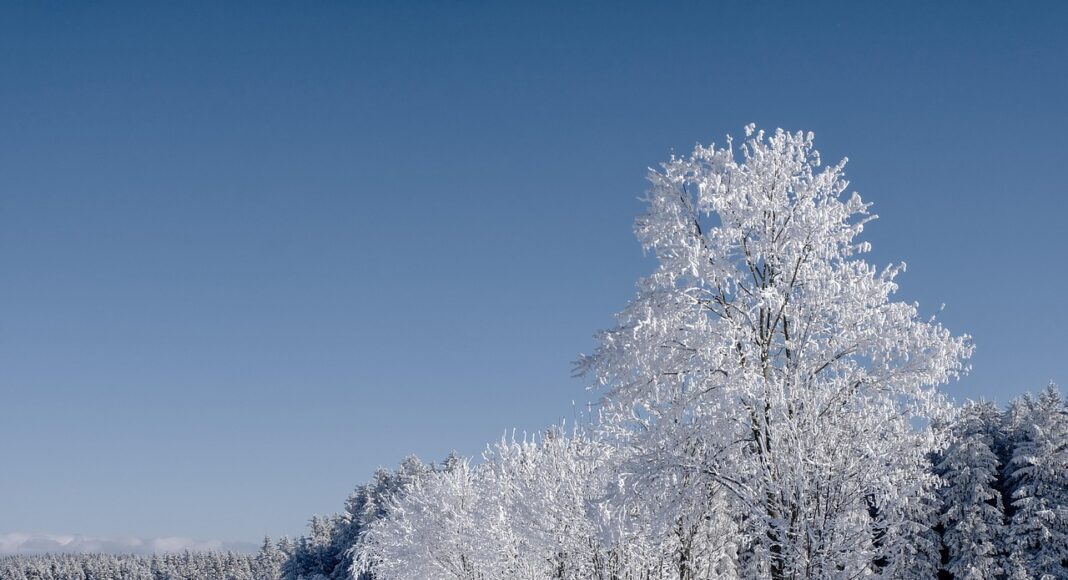 ΟΛΟΙ ΣΤΟ ΤΡΟΟΔΟΣ: Αυξημένη κίνηση σε τμήμα του δρόμου-Έκκληση της Αστυνομίας