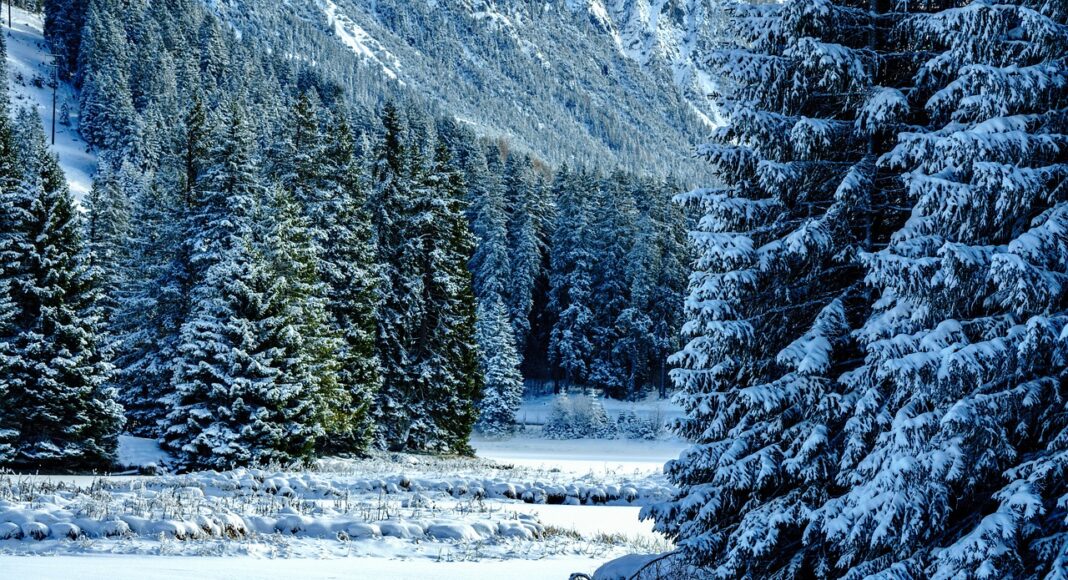 ΤΡΟΟΔΟΣ: Νέα χιονόπτωση χαρίζει όμορφες εικόνες-(Βίντεο)