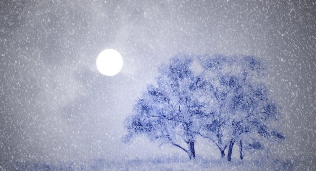 &Tau;&Rho;&Omicron;&Omicron;&Delta;&Omicron;&Sigma; &Lambda;&Epsilon;&Upsilon;&Kappa;&Omicron;&Sigma;:&hellip; &kappa;&alpha;&iota; &epsilon;&pi;&iota;&kappa;ί&nu;&delta;&upsilon;&nu;&omicron;&sigmaf;! &Chi;&iota;&omicron;&nu;&omicron;&kappa;&alpha;&tau;&alpha;&iota;&gamma;ί&delta;&alpha; &chi;&tau;&upsilon;&pi;ά&epsilon;&iota; &tau;&eta;&nu; &pi;&epsilon;&rho;&iota;&omicron;&chi;ή (&Beta;ί&nu;&tau;&epsilon;&omicron;)