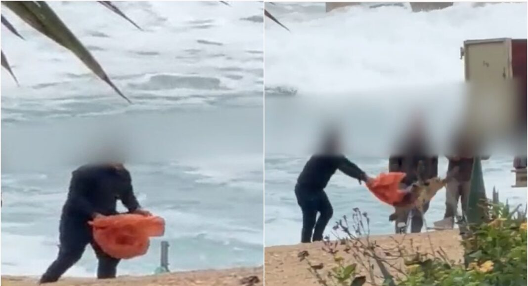 &Eta; &kappa;&alpha;&kappa;&omicron;&pi;&omicron;ί&eta;&sigma;&eta; &chi;&epsilon;&lambda;ώ&nu;&alpha;&sigmaf; &sigma;&tau;&eta;&nu; &Chi;&lambda;ώ&rho;&alpha;&kappa;&alpha; &ldquo;&phi;έ&rho;&nu;&epsilon;&iota;&rdquo; &tau;&rho;&omicron;&pi;&omicron;&pi;&omicron;&iota;ή&sigma;&epsilon;&iota;&sigmaf; &gamma;&iota;&alpha; &beta;&alpha;&rho;ύ&tau;&epsilon;&rho;&epsilon;&sigmaf; &pi;&omicron;&iota;&nu;έ&sigmaf;