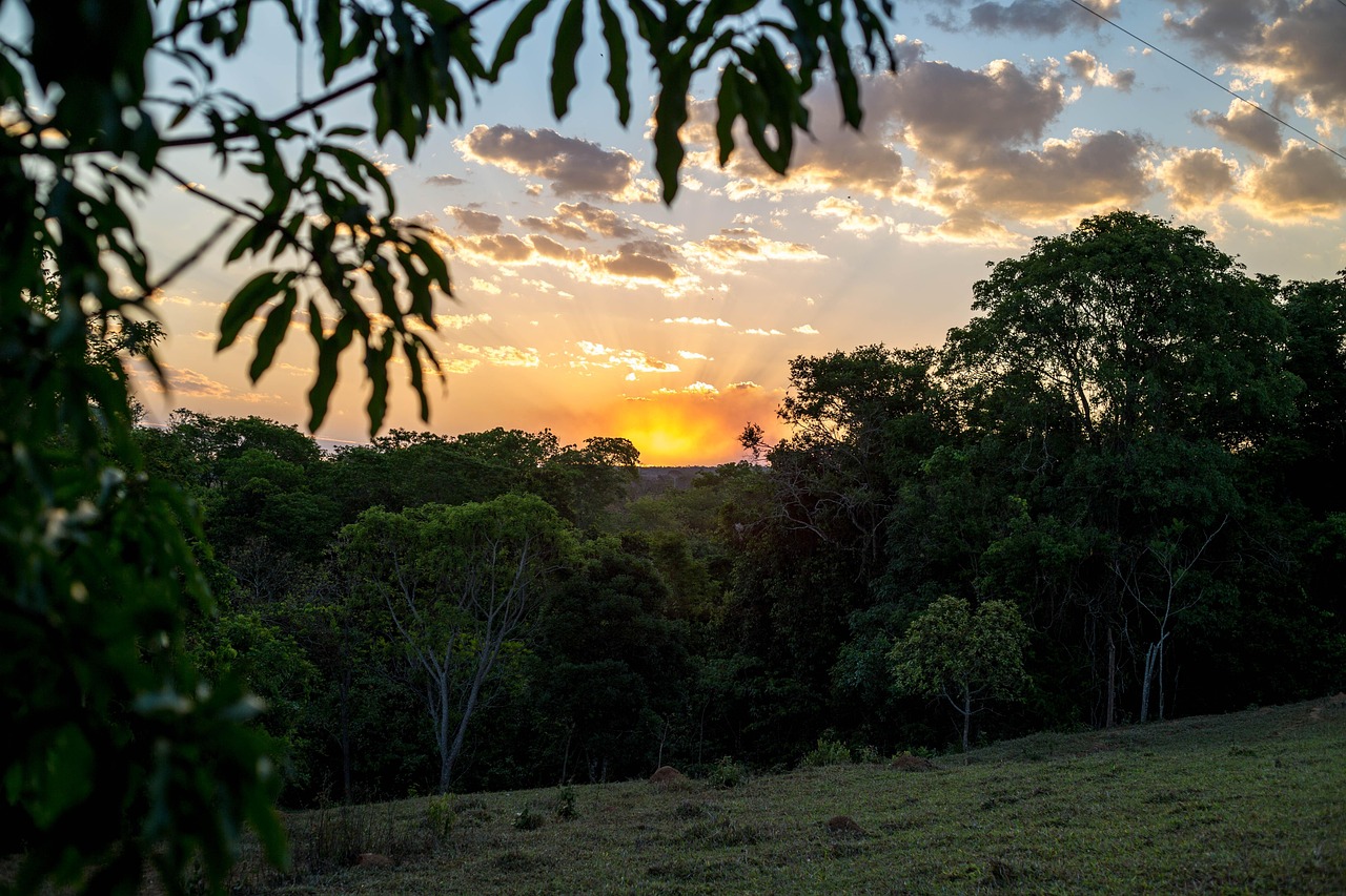 &Kappa;&Alpha;&Iota;&Rho;&Omicron;&Sigma;: Ή&lambda;&iota;&omicron;&sigmaf; &tau;&omicron; &pi;&rho;&omega;ί, &beta;&rho;&omicron;&chi;έ&sigmaf; &kappa;&alpha;&iota; &pi;&tau;ώ&sigma;&eta; &theta;&epsilon;&rho;&mu;&omicron;&kappa;&rho;&alpha;&sigma;ί&alpha;&sigmaf; &alpha;&pi;ό &tau;&omicron; &alpha;&pi;ό&gamma;&epsilon;&upsilon;&mu;&alpha;