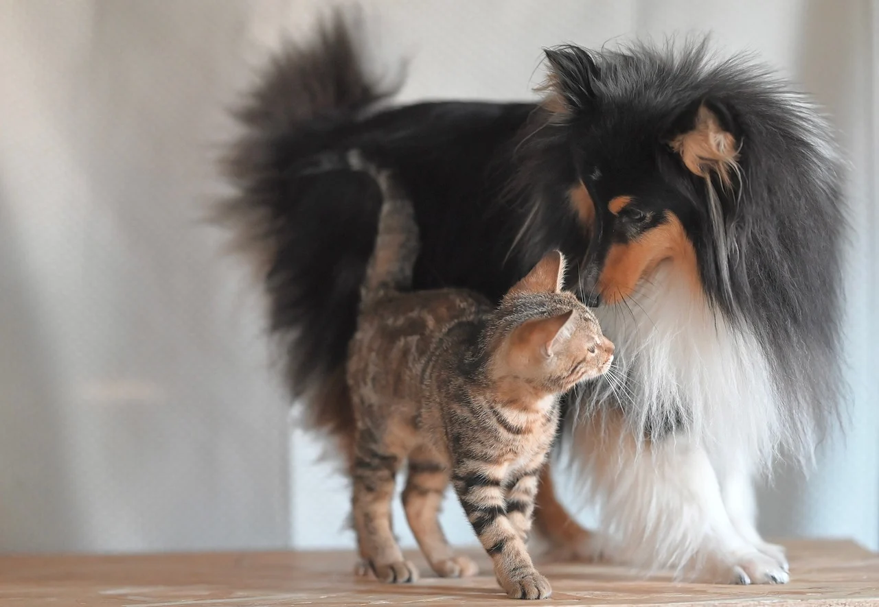 &Sigma;&Upsilon;&Rho;&Omicron;&Sigma;: &Eta; &alpha;&nu;&theta;&rho;&omega;&pi;&iota;ά &sigma;&epsilon; &delta;&rho;ά&sigma;&eta; &ndash; &Delta;&omega;&rho;&epsilon;ά&nu; &delta;&iota;&alpha;&mu;&omicron;&nu;ή &gamma;&iota;&alpha; &epsilon;&theta;&epsilon;&lambda;&omicron;&nu;&tau;έ&sigmaf; &pi;&omicron;&upsilon; &phi;&rho;&omicron;&nu;&tau;ί&zeta;&omicron;&upsilon;&nu; &tau;&alpha; &alpha;&delta;έ&sigma;&pi;&omicron;&tau;&alpha;