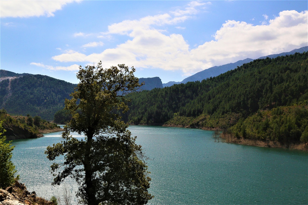 &Alpha;&Nu;&Alpha;&Sigma;&Alpha; &Sigma;&Tau;&Alpha; &Phi;&Rho;&Alpha;&Gamma;&Mu;&Alpha;&Tau;&Alpha;: &Xi;&epsilon;&pi;έ&rho;&alpha;&sigma;&epsilon; &tau;&omicron; 150% &eta; &mu;έ&sigma;&eta; &beta;&rho;&omicron;&chi;ό&pi;&tau;&omega;&sigma;&eta; &Mu;&alpha;&rho;&tau;ί&omicron;&upsilon;