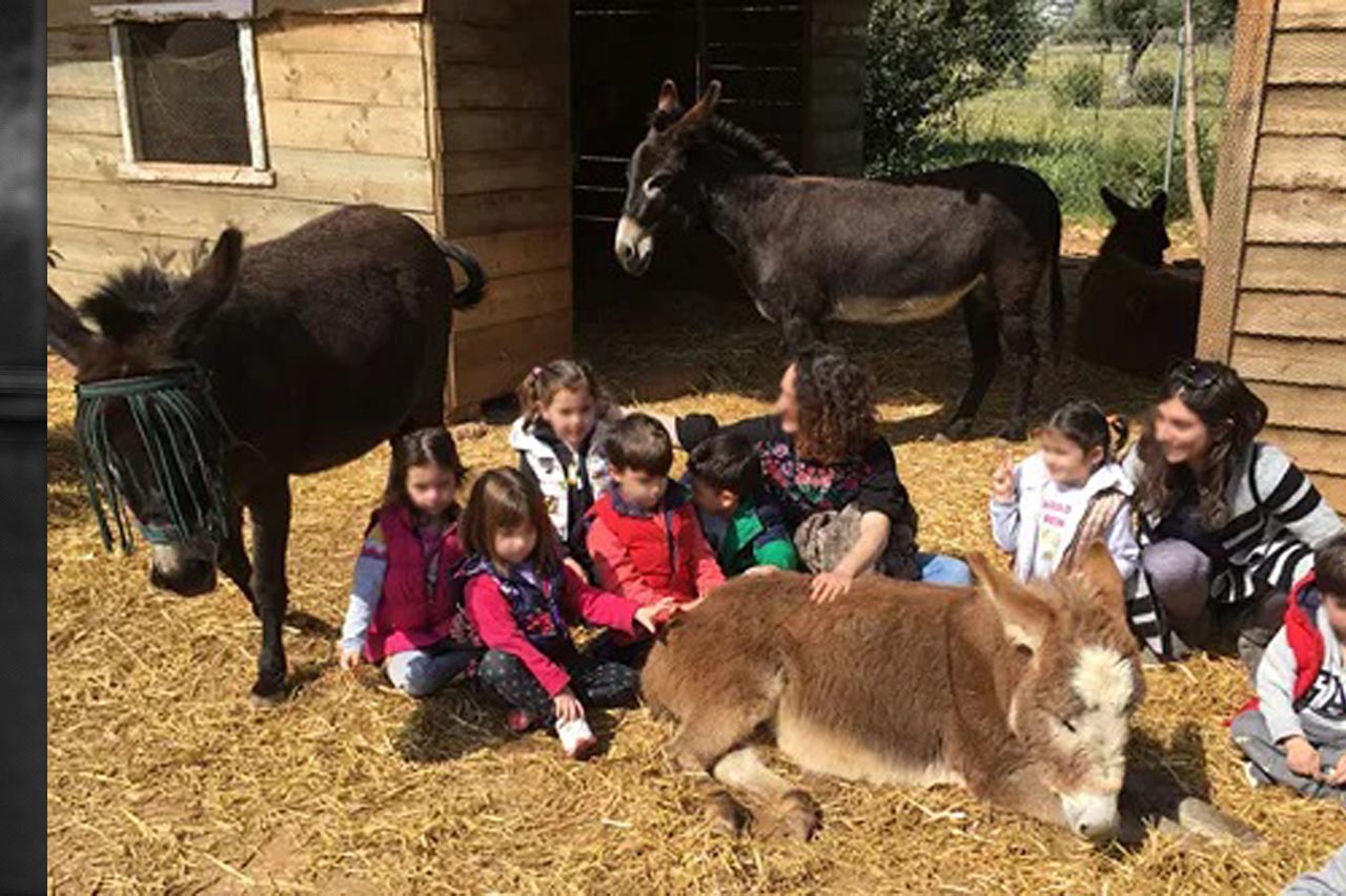 &Gamma;&Alpha;Ϊ&Delta;&Omicron;&Upsilon;&Rho;&Alpha;&Kappa;&Iota;&Alpha; &Sigma;&Tau;&Alpha; &Kappa;&Epsilon;&Lambda;&Omicron;&Kappa;&Epsilon;&Delta;&Alpha;&Rho;&Alpha;: &Omicron;&iota; &kappa;ά&tau;&omicron;&iota;&kappa;&omicron;&iota; έ&tau;&rho;&epsilon;&xi;&alpha;&nu; &nu;&alpha; &tau;&alpha; &phi;&rho;&omicron;&nu;&tau;ί&sigma;&omicron;&upsilon;&nu;