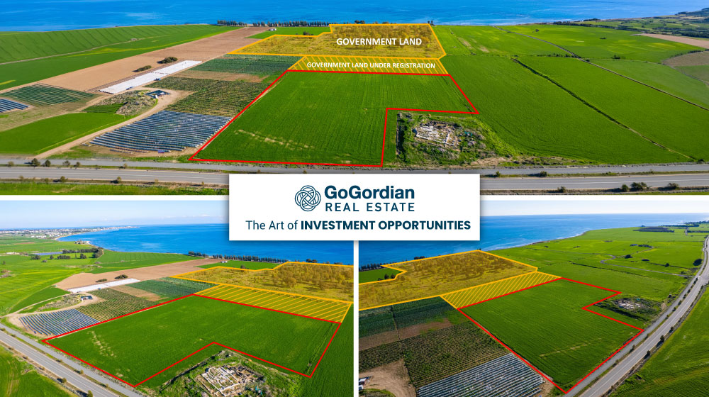 The Art of INVESTMENT OPPORTUNITIES