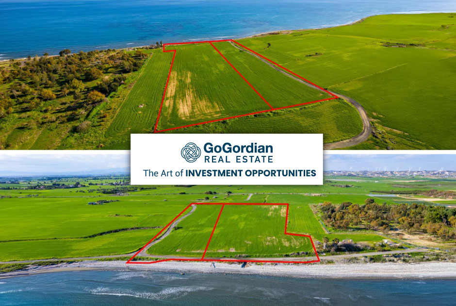 The Art of INVESTMENT OPPORTUNITIES