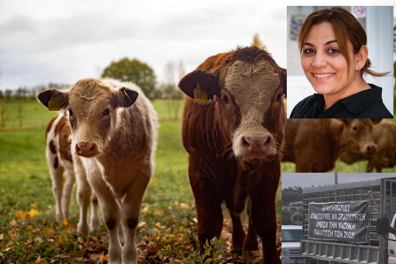 &Kappa;&Tau;&Eta;&Nu;&Omicron;&Tau;&Rho;&Omicron;&Phi;&Omicron;&Iota;: &Zeta;&eta;&tau;&omicron;ύ&nu; &sigma;&upsilon;&nu;ά&nu;&tau;&eta;&sigma;&eta; &mu;&epsilon; &tau;&omicron;&nu; &Pi;&rho;ό&epsilon;&delta;&rho;&omicron; &ndash; &Pi;&rho;&omicron;&epsilon;&iota;&delta;&omicron;&pi;&omicron;&iota;&omicron;ύ&nu; &gamma;&iota;&alpha; &kappa;&iota;&nu;&eta;&tau;&omicron;&pi;&omicron;&iota;ή&sigma;&epsilon;&iota;&sigmaf; &mu;&epsilon; &beta;&alpha;&rho;έ&alpha; &omicron;&chi;ή&mu;&alpha;&tau;&alpha;