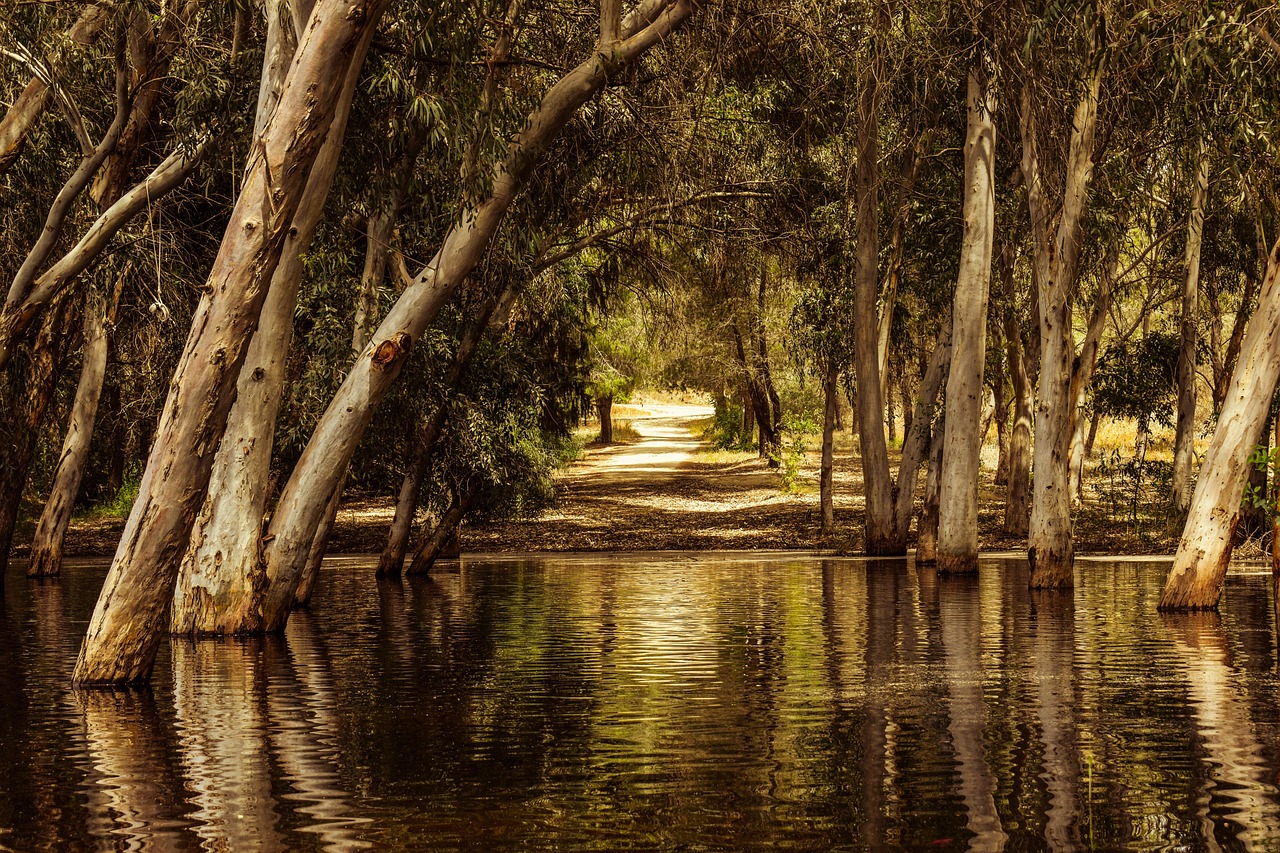 &Pi;&Alpha;&Rho;&Kappa;&Omicron; &Alpha;&Theta;&Alpha;&Lambda;&Alpha;&Sigma;&Sigma;&Alpha;&Sigma;: &Mu;&omicron;&lambda;&upsilon;&sigma;&mu;έ&nu;&alpha; &nu;&epsilon;&rho;ά &kappa;&alpha;&iota; ά&lambda;&gamma;&eta; &pi;ί&sigma;&omega; &alpha;&pi;ό &tau;&omicron;&upsilon;&sigmaf; &theta;&alpha;&nu;ά&tau;&omicron;&upsilon;&sigmaf; &psi;&alpha;&rho;&iota;ώ&nu; &ndash; &Tau;&iota; &epsilon;&xi;&epsilon;&tau;ά&zeta;&omicron;&upsilon;&nu; &omicron;&iota; &Alpha;&rho;&chi;έ&sigmaf;